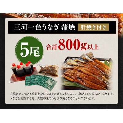 三河一色うなぎ蒲焼  大5尾 (肝焼き付き) うなぎ 蒲焼