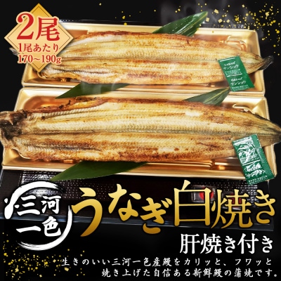 三河一色うなぎ白焼き 大2尾 (肝焼き付き) うなぎ 白焼き