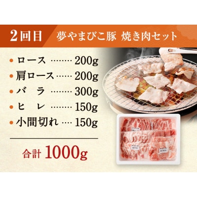 【定期便】「夢やまびこ豚」鍋セット 焼肉セット 各2回 | 豚肉 お肉 しゃぶしゃぶ 焼肉 冷蔵