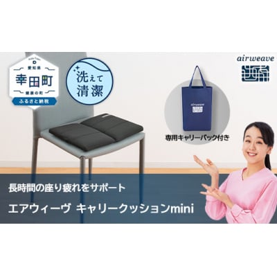 エアウィーヴ キャリークッションmini | airweave おすすめ エアウィーブ