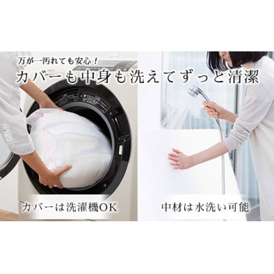 エアウィーヴ キャリークッションmini | airweave おすすめ エアウィーブ