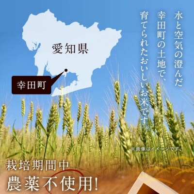 【6カ月定期便】幸せな田んぼのある町のお米「幸田町」産 あいちのかおり 白米 5kg ◇ | お米