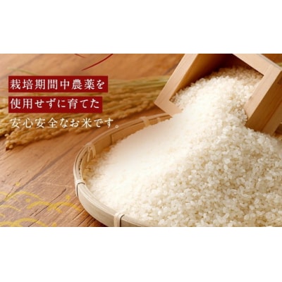 【6カ月定期便】幸せな田んぼのある町のお米「幸田町」産 あいちのかおり 白米 5kg ◇ | お米