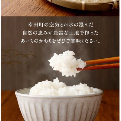 【6カ月定期便】幸せな田んぼのある町のお米「幸田町産」 あいちのかおり 白米 5kg ◇ | お米