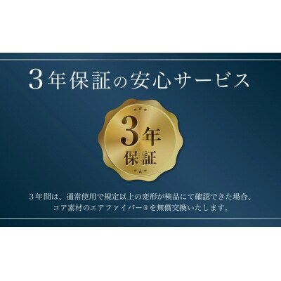 エアウィーヴ ベッドマットレス S02 クイーン マットレス ベッド 寝具