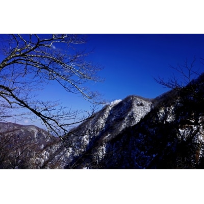 デジタル一眼カメラα[Eマウント]用レンズ　E 20mm F2.8 | ソニー カメラ レンズ 一眼