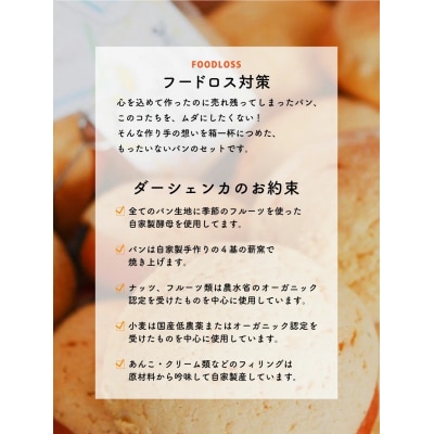 【フードロス対策】自家製酵母の薪窯パンこだわりパンの詰め合わせセット | 自家製酵母 薪窯パン