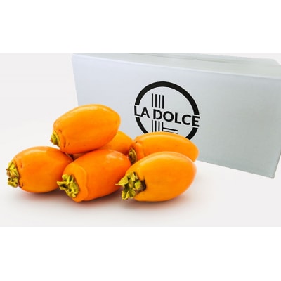 幸田町産 筆柿「KAKI KAKI」1kg ※2025年11月中旬～2026年1月中旬頃に順次発送