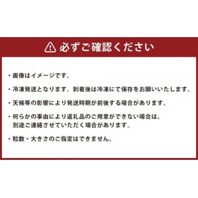 湧き水育ちのこだわり“大粒・完熟”冷凍ブルーベリー 合計1kg(500g×2パック)