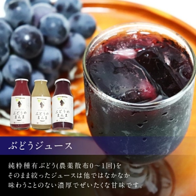 幸田町産ぶどう使用(無添加、無糖、無加水)100%ジュース3本　ジャム(90g)2本　詰め合わせ
