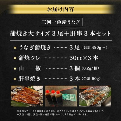 三河一色産 うなぎ蒲焼き 大3尾 + 肝串焼き 3本 蒲焼タレ 肝串焼き 鰻 お魚 湯煎 惣菜