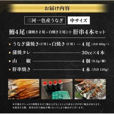三河一色産 うなぎ蒲焼き 中2尾、白焼き 中2尾 + 肝串焼き 4本 蒲焼タレ 肝串焼き お魚 湯煎