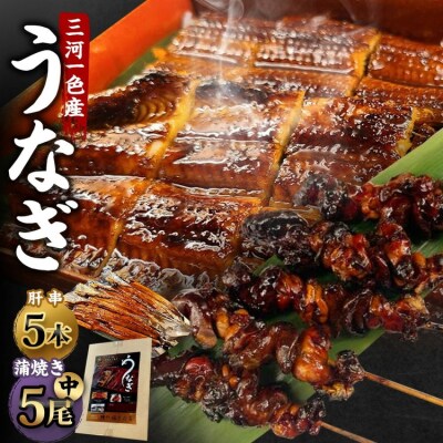 三河一色産 うなぎ蒲焼き 中5尾 + 肝串焼き 5本 蒲焼タレ 肝串焼き 鰻 お魚 湯煎 惣菜