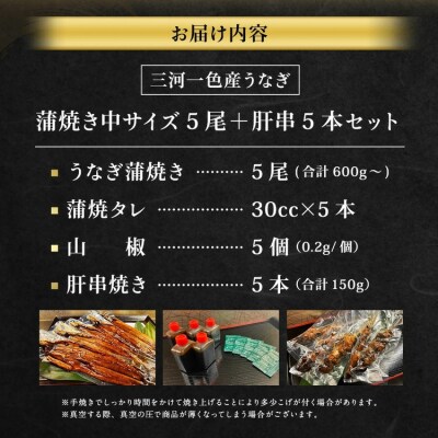 三河一色産 うなぎ蒲焼き 中5尾 + 肝串焼き 5本 蒲焼タレ 肝串焼き 鰻 お魚 湯煎 惣菜
