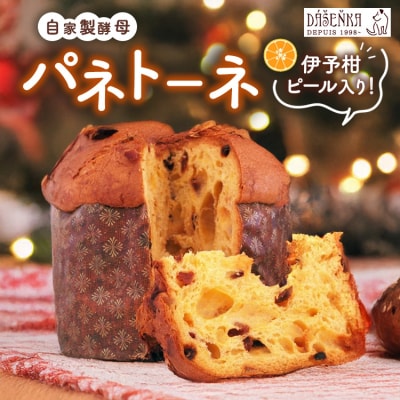 自家製酵母使用のパネトーネ!! 1個入り | お菓子 おやつ