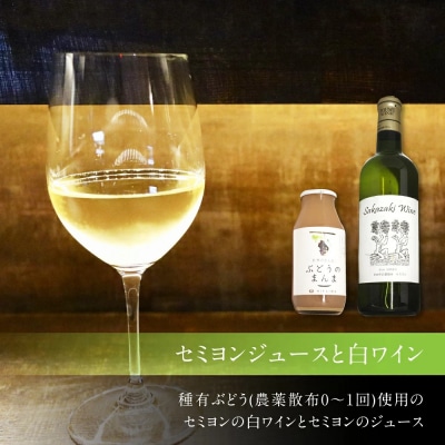 幸田町産ぶどう使用100%セミヨンジュース2本、セミヨンの白ワイン1本　詰め合わせ