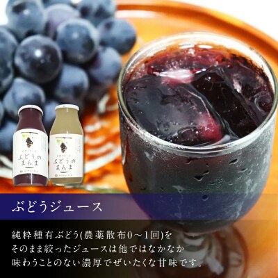 ぶどう100%ジュース&ジャム詰め合わせ合計6本セット ジュース180ml×2本 ジャム90g×4本