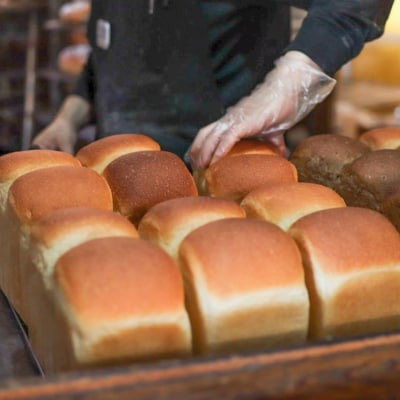 【6ヶ月定期便】薪窯パン シンプルセット【乳製品不使用】 | 食パン フランスパン ブレッド