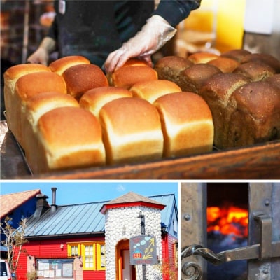 【12ヶ月定期便】【フードロス対策】自家製酵母の薪窯パンこだわりパンの詰め合わせセット