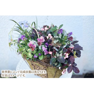 Botanical Mélange ～お花とリーフが調和する根付き植物アレンジメント～