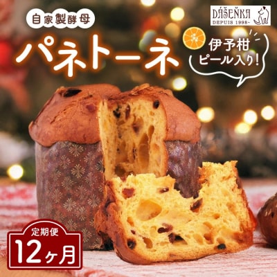 【12ヶ月定期便】自家製酵母使用のパネトーネ!! 1個入り | お菓子 おやつ