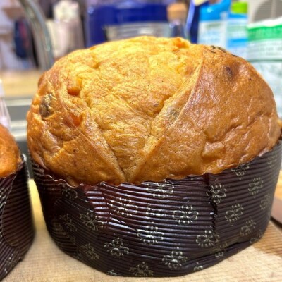 【12ヶ月定期便】自家製酵母使用のパネトーネ!! 1個入り | お菓子 おやつ