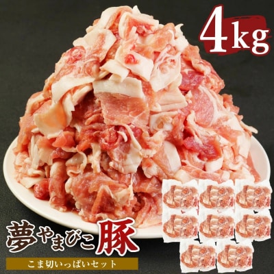「夢やまびこ豚」こま切いっぱいセット 4.0kg | 豚肉 肉 お肉 小間切れ こま切れ 小分け