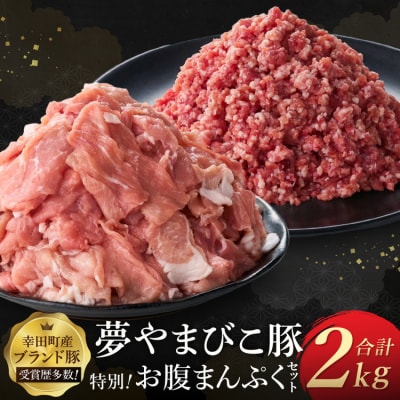 「夢やまびこ豚」特別!お腹まんぷくセット 小間切れ 1.0kg+挽肉 1.0kg | 豚肉 肉 お肉