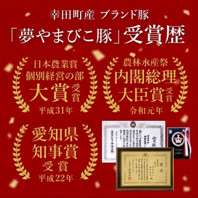 「夢やまびこ豚」特別!お腹まんぷくセット 小間切れ 1.0kg+挽肉 1.0kg | 豚肉 肉 お肉