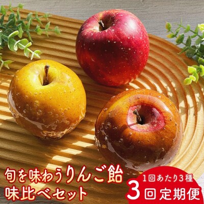【先行予約】【定期便3回】旬を味わうりんご飴 味比べセット ※2026年9月上旬頃～発送