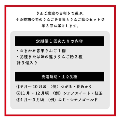 【先行予約】【定期便3回】旬を味わうりんご飴 味比べセット ※2026年9月上旬頃～発送