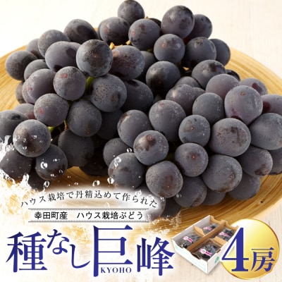 幸田町産 ハウス栽培ぶどう 「種なし巨峰」 4房 ※2026年7月中旬頃～発送