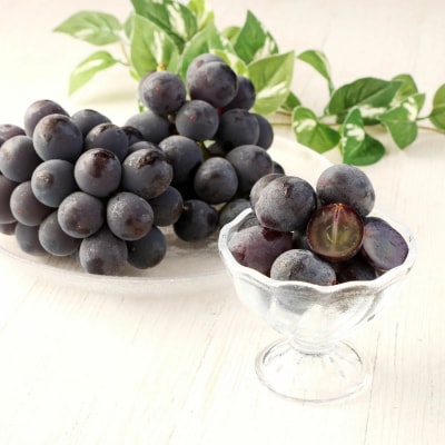 幸田町産 ハウス栽培ぶどう 「種なし巨峰」 4房 ※2026年7月中旬頃～発送