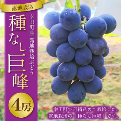 幸田町産 露地栽培ぶどう 「種なし巨峰」 4房 ※2026年8月中旬頃～発送