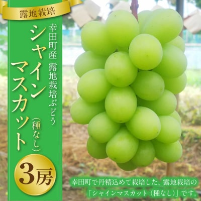 幸田町産 露地栽培ぶどう 「シャインマスカット(種なし)」 3房 ※2026年8月中旬頃～発送