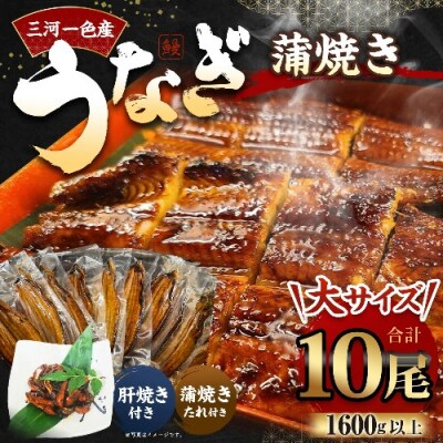 三河一色産 うなぎ蒲焼き 大10尾 タレ付き セット 簡単調理 冷凍