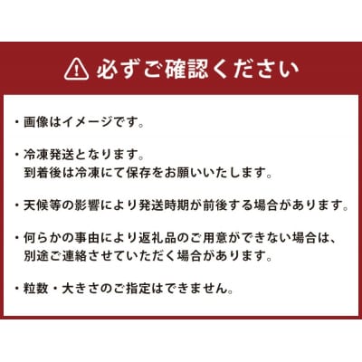 【訳あり2kg】湧き水育ちの国産冷凍ブルーベリー(500g×4パック)農家直送※2026年6月～発送