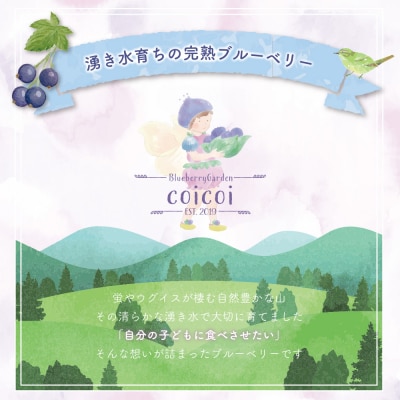【訳あり2kg】湧き水育ちの国産冷凍ブルーベリー(500g×4パック)農家直送※2026年6月～発送