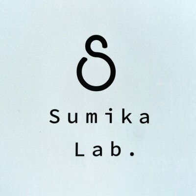くりかえし使える靴のにおい対策 スミカラボ 竹活性炭脱臭剤 脱臭METAC靴用 1足分