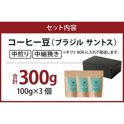 【粉】コーヒー豆 粉(ブラジル サントス 中煎り 中細挽き)100g × 3個セット 計300g