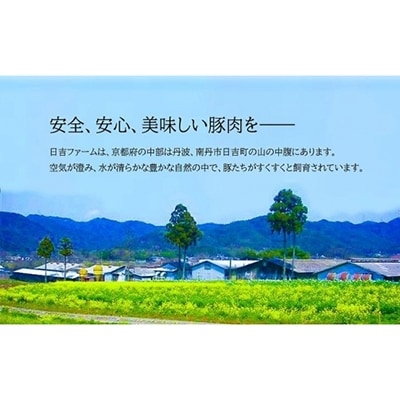 【京都フードパック】京丹波高原豚切落し(肩・モモ各400g×4P)1.6kg