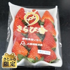 【4P食べ比べ】いちごの里 BerryGoodのきらぴ香と紅ほっぺ 約300g&times;4p【さとふる限定】