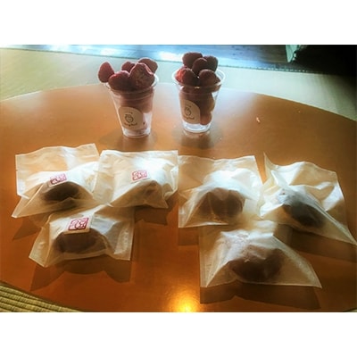 裾野市 いちごの里×まめきゅうの完熟冷凍イチゴといちごどら焼きのセット