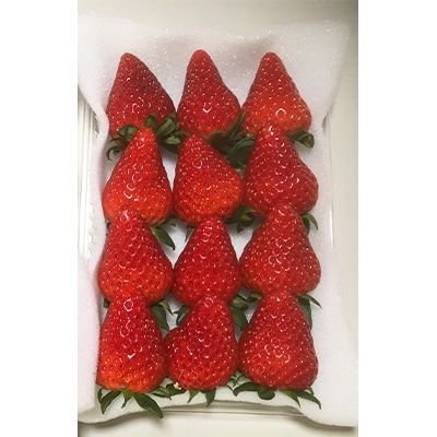 いちごの里BerryGoodの完熟いちごとすそのんクッキーのセット