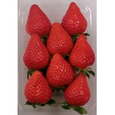 いちごの里BerryGoodの完熟いちごとすそのんクッキーのセット