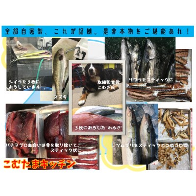 こむたまキッチンの「ふぃっしゅへぶん」小中型犬・猫用