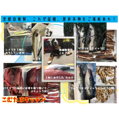こむたまキッチンの「ふぃっしゅへぶん」小中型犬・猫用　4種　
