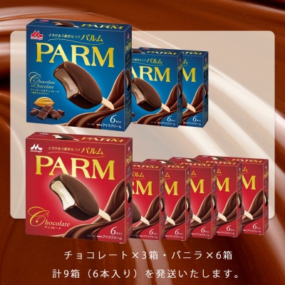 【毎月定期便】【62】パルム マルチ 6本入×6箱/チョコレート&チョコレート 6本入×3箱全2回