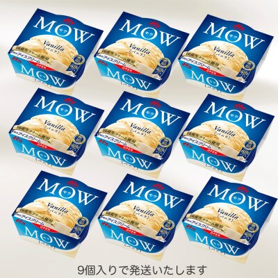 【毎月定期便】【71】MOW バニラ9個セット全2回