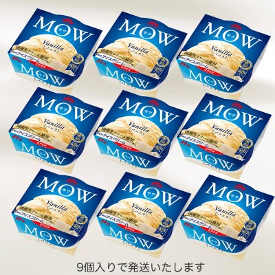 【毎月定期便】【167】MOW バニラ9個セット全4回